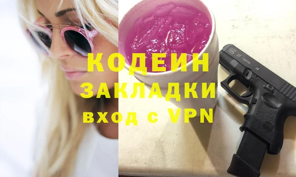 индика Михайловка