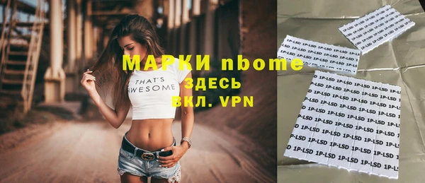 хмурый Анива