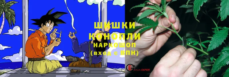 Конопля SATIVA & INDICA  ссылка на мегу вход  Кологрив 